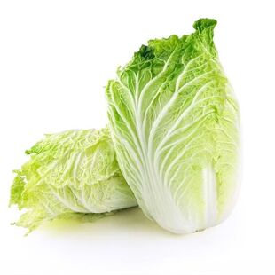 夏阳大白菜夏季抗热包心白菜50天结球白菜农家新鲜耐储存蔬菜包邮