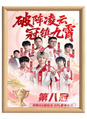 2025王者荣耀KPL冠军留影相框