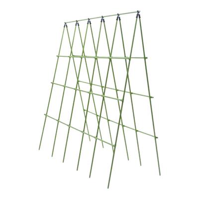 黄瓜爬藤架豆角架西红柿支撑杆瓜果蔬菜搭棚架子植物专用包塑钢管