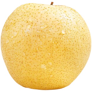 特级雪梨赵县雪花梨新鲜水果5-9斤河北特产应季采摘水果梨子包邮