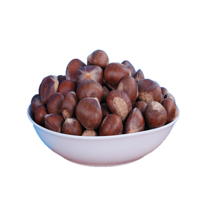 迁西板栗苗耐寒超大号嫁接苗庭院耐冻板栗树果苗早熟油小栗子良种