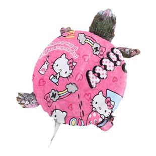 炫彩小乌龟活物网红七彩卡通乌龟宠物好养耐活彩色小动物活物彩龟