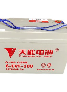 正品企业直销天能电池电动汽车用