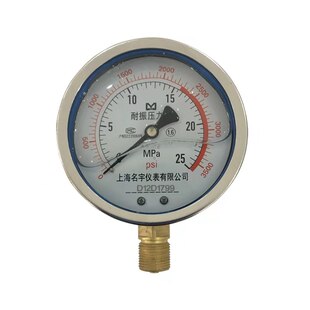 YN100耐震压力表0-0.6/1.6/2.5MPa水压油压液压表抗震径向安装