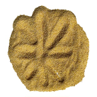 鸟食喂鸟的碎小米鸟粮喂麻雀去壳谷子鸡鸭芦丁布施碎米喂鸡鸟食