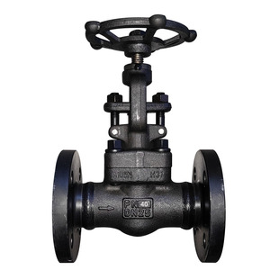 锻钢截止阀J41H-16C/25/40/64/100C法兰闸阀Z41H蒸汽高压高温A105