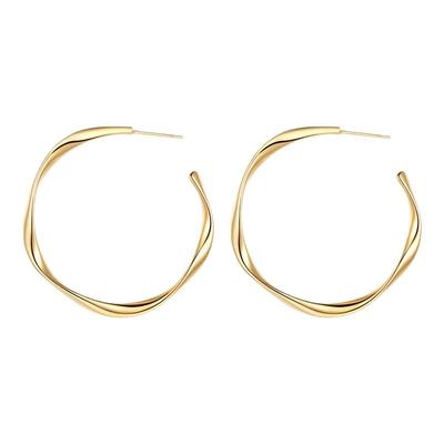 INCH EDITION波光粼粼大麻花耳环小众高级感轻奢显脸小