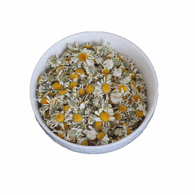 新花罗马洋甘菊罗马洋甘菊干花德国洋甘菊德国洋甘菊干花洋甘菊