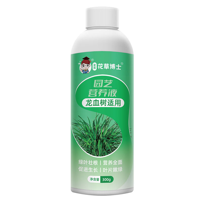 龙血树专用营养液黄叶急救