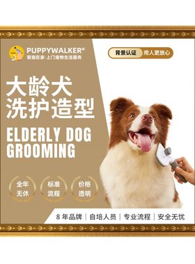 上门洗狗剪毛造型大龄犬7岁以上