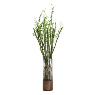 国风龙柳鲜枝水培植物干枝花卉绿植室内盆栽鲜切客厅办公室好养