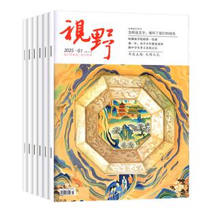 视野杂志2026年1月1/2期新【含全年/半年订阅可选】新锐人文生活综合性文学文摘类书籍小说月报散文深读人民文学2025过刊