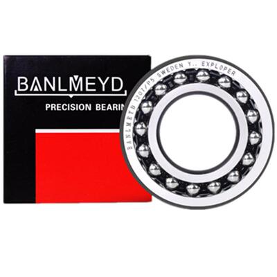 高精度调心球轴承BMD瑞典进口