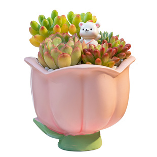 趣玩园艺创意花朵造型郁金香多肉花盆肉肉植物盆栽无底孔朋友礼物