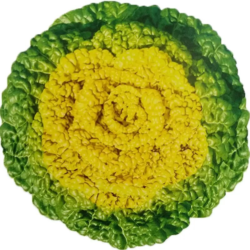 黄心乌塌菜种抗热耐寒黄心菜种菊花心菜籽种易种黄金乌蔬菜籽种