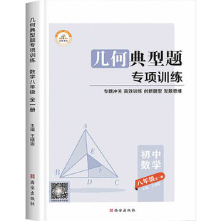 初中数学必刷题典型题专项训练几何模型代数计算题七八九年级初一二三中考易错题解题方法与技巧初中同步训练练习题教辅资料789