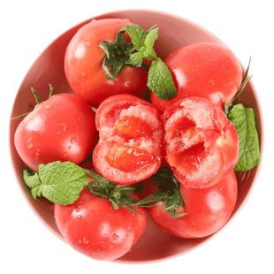 普罗旺斯西红柿新鲜蔬菜水果自然熟生吃沙瓤大番茄柿子包邮现摘