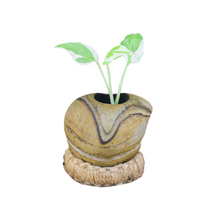 HP016天然原石复古北欧金铜钱草绿萝多肉水养石头花盆花器插花瓶