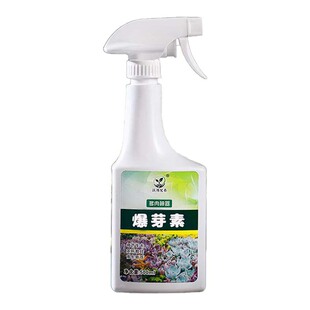 多肉爆芽素专用催芽促生长发芽侧芽用促促矮胖促芽芽绿植细胞植物