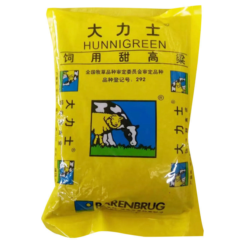 喂牛甜高粱甜高粱四季牧草种子