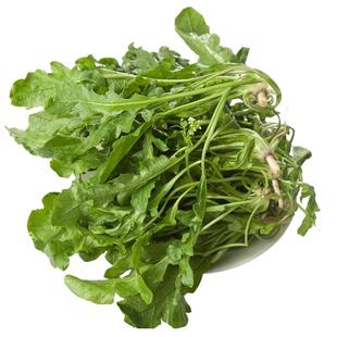 荠荠菜种子大叶四季菜籽香蔬菜种籽孑菜种芨芨菜菜种大全春天