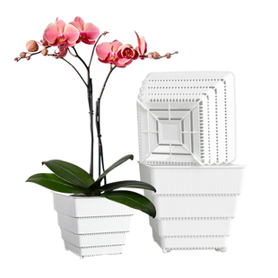 美莳方形蝴蝶兰专用花盆树脂透气控根塑料杯水苔青山小号白色套盆