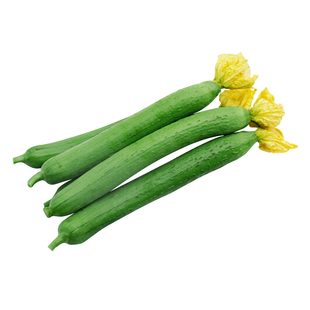肉丝瓜种籽子苗秧苗广东八角香丝瓜夏季阳台种植蔬菜种子籽孑大全