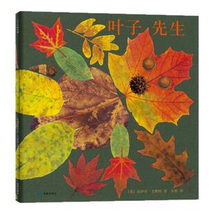 叶子先生 艺术绘本 秋天 落叶 大自然 手工创作 手工作业 凯迪克大奖得主 美国国家户外图书奖 美国《儿童》杂志年度童书
