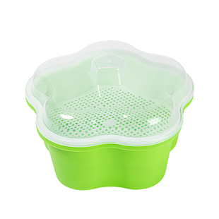 儿童种植小盆栽幼儿园学生观察水培diy 农场创意迷你植物观察生长