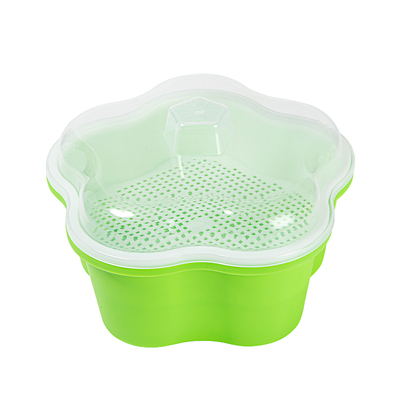 diy儿童学生观察水培农场小盆栽