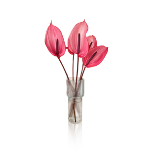 绿光花卉 红掌鲜花 火鹤花安祖花 花卉市场实体批发 高端花艺插花