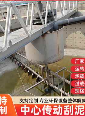 中心传动刮泥机污水处理浓缩池搅拌机高浓度沉淀搅拌变频