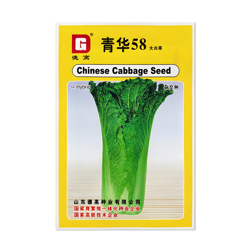 德高青华58大白菜种子