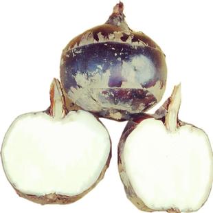 9年老店特大荔浦马蹄新鲜即食水果蔬菜甜脆荸荠广西桂林有机特产