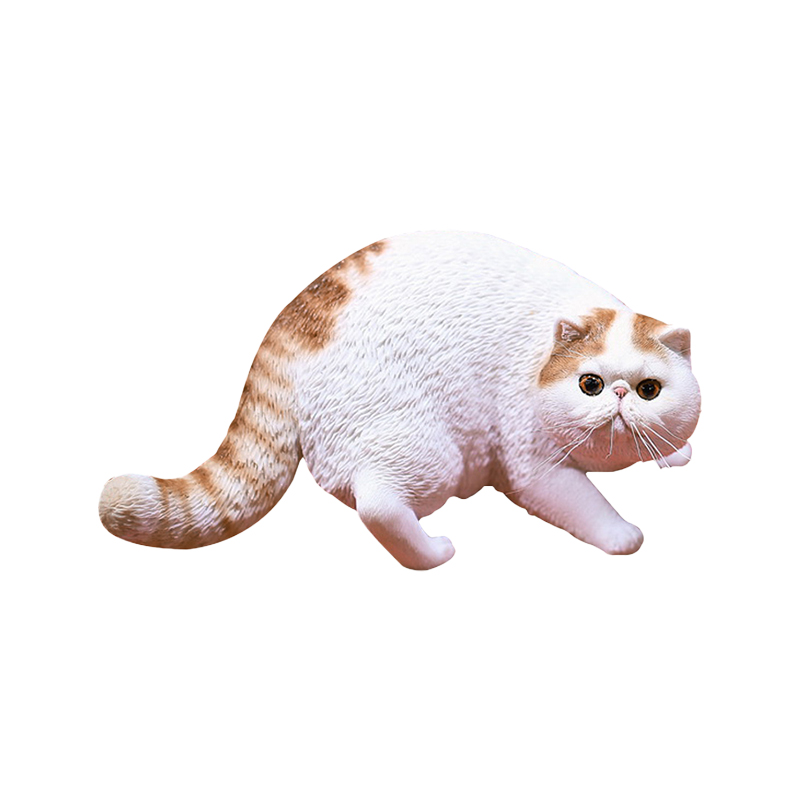 JXK 1/6异国短毛猫加菲猫模型仿真宠物猫咪周边手办桌面摆件玩具