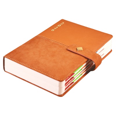 2026年日程本高颜值日计划本