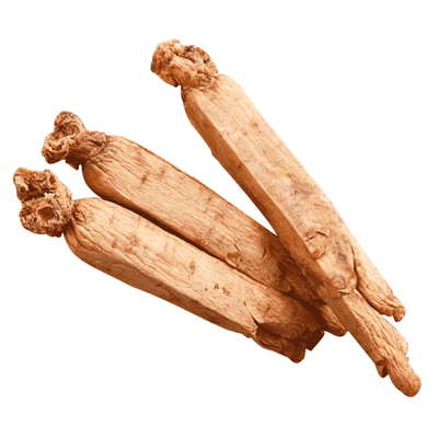 全黄皮长白山高丽红参林岛