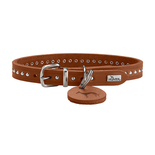 德国hunter奥尔堡真皮铆钉宠物狗狗项圈牵引绳中小型犬牛皮脖圈