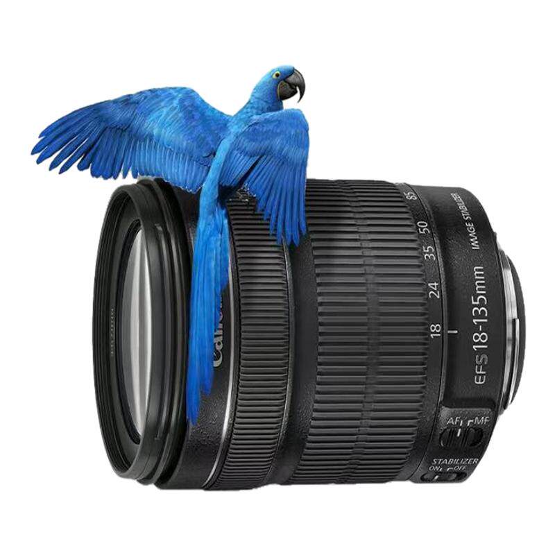 Canon/佳能18-135 18-20055-250 18-200半画幅变焦单反照相机镜头