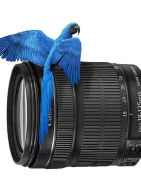 Canon/佳能18-135 18-20055-250 18-200半画幅变焦单反照相机镜头