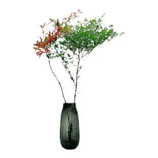 南天竹水培植物水养盆栽带根老桩室内绿植花卉盆景马醉木富贵竹