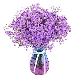 花瓶满天星干花花束鲜花真花客厅天然装饰摆设卧室摆件家居插花