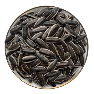 炒瓜子内蒙古新货现炒原味高品质大颗粒葵花子产地直发超值批发
