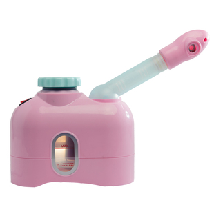 泰东中草药熏蒸仪热喷美容仪蒸脸器美容仪负离子喷雾机熏眼仪蒸脸