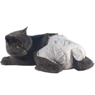 猫咪尿不湿公猫纸尿裤母猫防交配避孕裤姨妈巾生理裤幼猫宠物