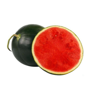 黑皮红壤麒麟西瓜种子无籽西瓜四季特大巨型西瓜种籽西瓜种孑禾之