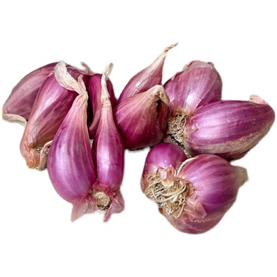 红葱头广东干葱头火葱新鲜小香葱