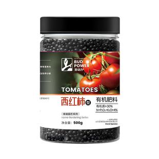 番茄专用肥西红柿专用肥圣女果有机肥小番茄肥料盆栽蕃茄种子挂果