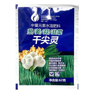 大蒜小葱香葱大葱黄叶干尖灵一喷绿茎杆粗壮 生姜韭菜黄叶一喷灵