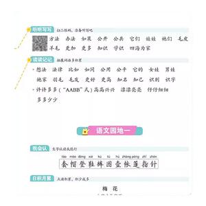 阳光同学写好规范字阳光同学
